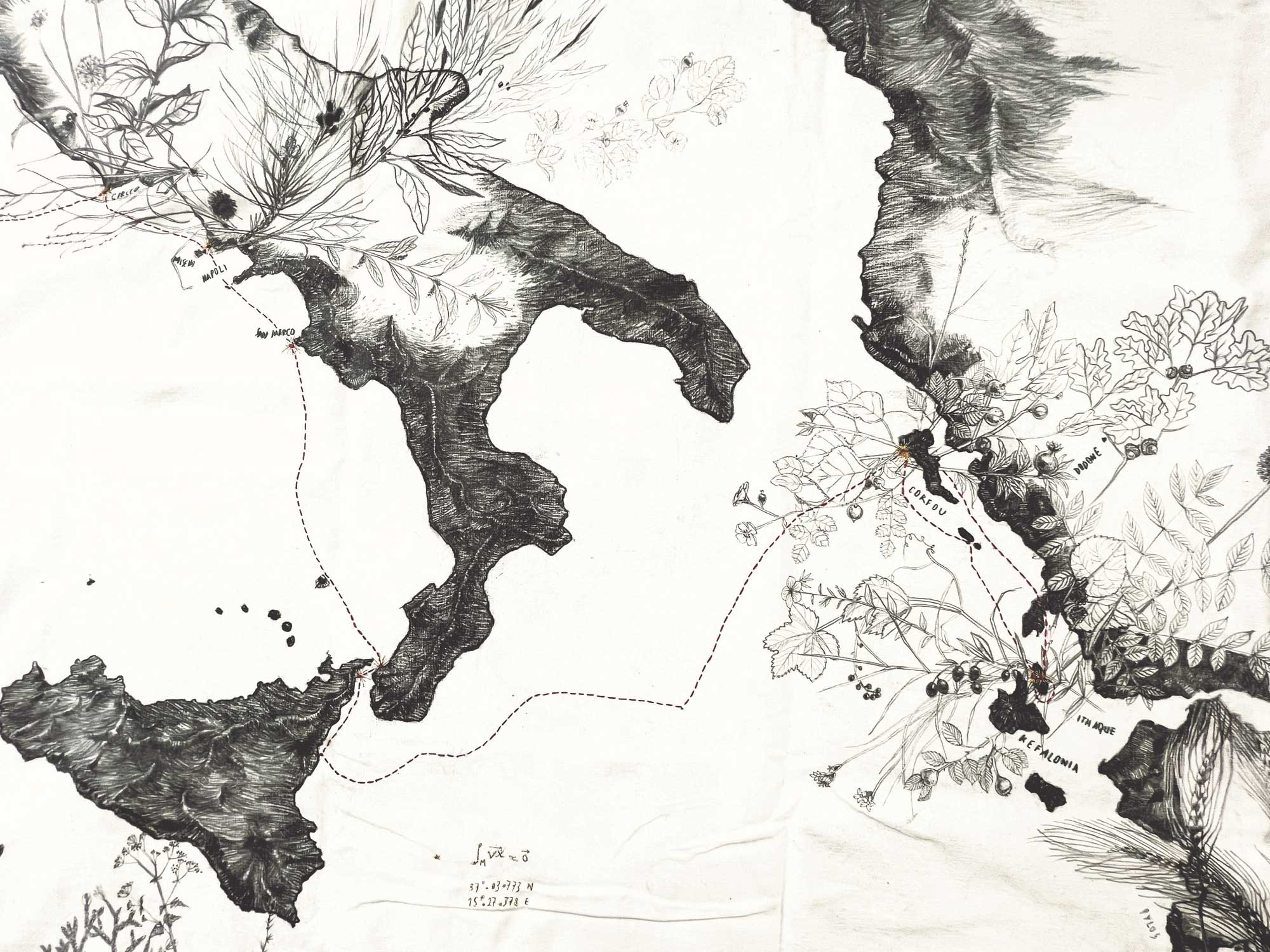 Cartographie de l’expédition Odyssea © Collectif Personne
